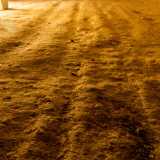 Qui sul pavimento sono ancora ben evidenti i solchi delle ruote dei carri che transitavano un tempo